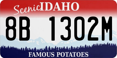 ID license plate 8B1302M