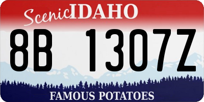 ID license plate 8B1307Z