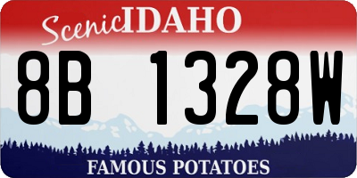 ID license plate 8B1328W