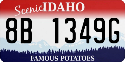 ID license plate 8B1349G
