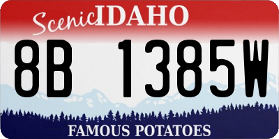ID license plate 8B1385W