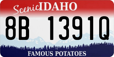 ID license plate 8B1391Q