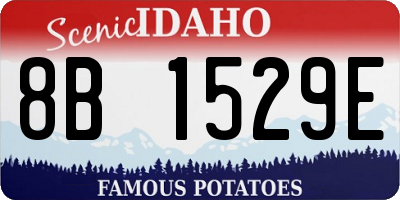 ID license plate 8B1529E