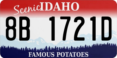 ID license plate 8B1721D