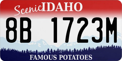ID license plate 8B1723M