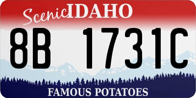 ID license plate 8B1731C