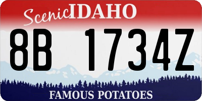 ID license plate 8B1734Z