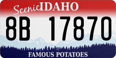 ID license plate 8B1787O