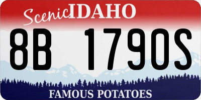 ID license plate 8B1790S