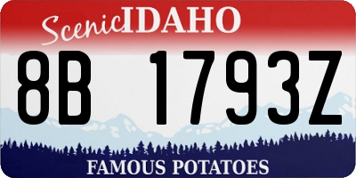 ID license plate 8B1793Z