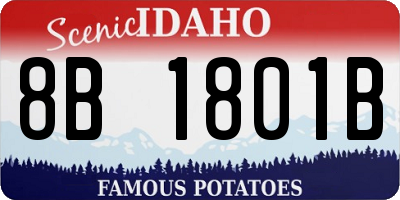 ID license plate 8B1801B
