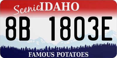 ID license plate 8B1803E