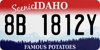 ID license plate 8B1812Y