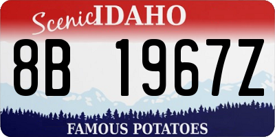 ID license plate 8B1967Z
