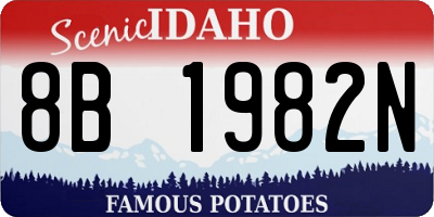 ID license plate 8B1982N