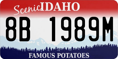 ID license plate 8B1989M