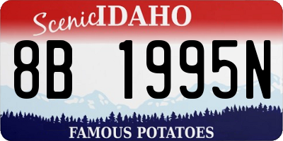ID license plate 8B1995N