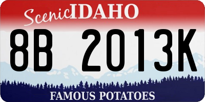 ID license plate 8B2013K