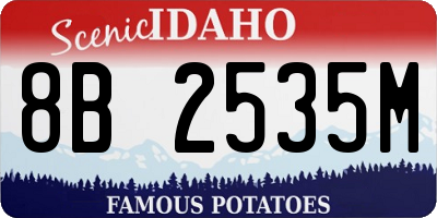 ID license plate 8B2535M