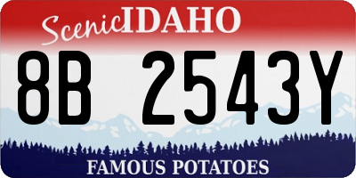 ID license plate 8B2543Y