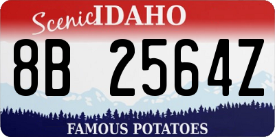 ID license plate 8B2564Z