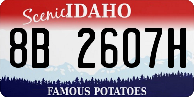 ID license plate 8B2607H