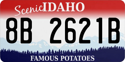 ID license plate 8B2621B