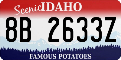 ID license plate 8B2633Z