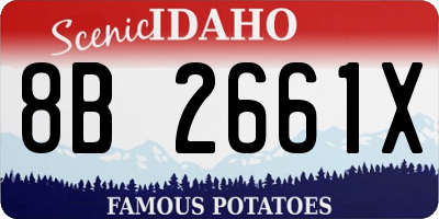 ID license plate 8B2661X