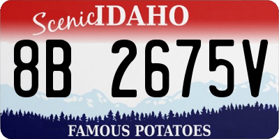ID license plate 8B2675V