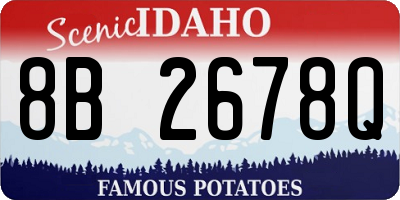 ID license plate 8B2678Q