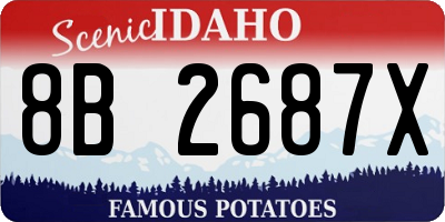 ID license plate 8B2687X