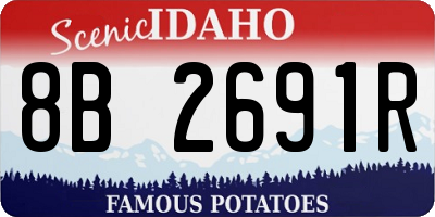 ID license plate 8B2691R