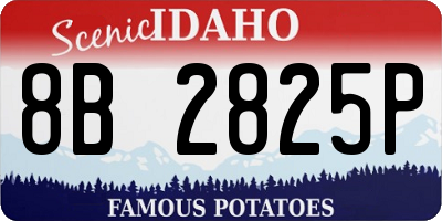 ID license plate 8B2825P