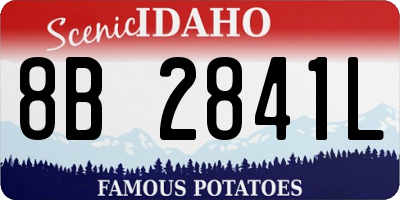 ID license plate 8B2841L