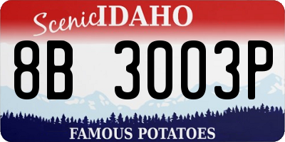 ID license plate 8B3003P