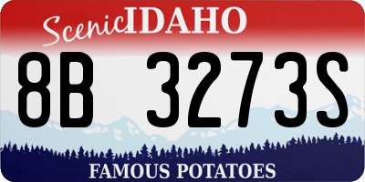 ID license plate 8B3273S