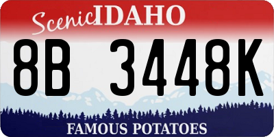ID license plate 8B3448K
