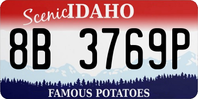 ID license plate 8B3769P