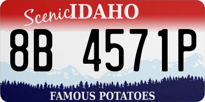 ID license plate 8B4571P