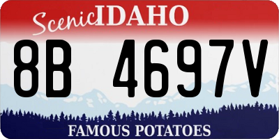 ID license plate 8B4697V
