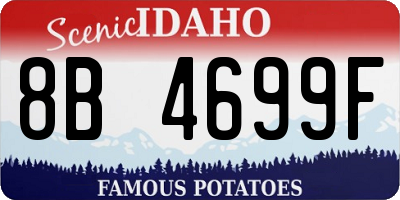 ID license plate 8B4699F