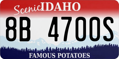 ID license plate 8B4700S