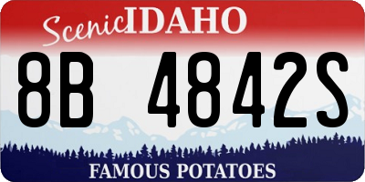 ID license plate 8B4842S
