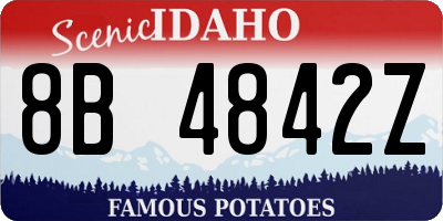 ID license plate 8B4842Z