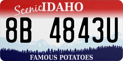 ID license plate 8B4843U