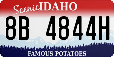 ID license plate 8B4844H