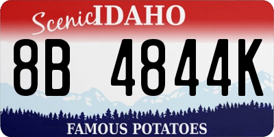 ID license plate 8B4844K