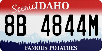 ID license plate 8B4844M
