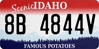 ID license plate 8B4844V